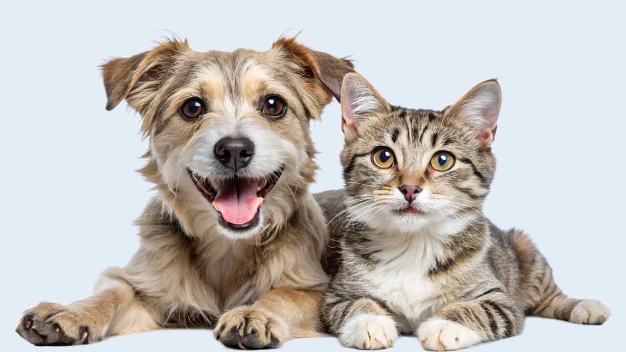 Young family