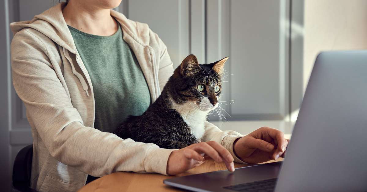10 Remote Entry-Level Jobs That Pay Over $46 an Hour