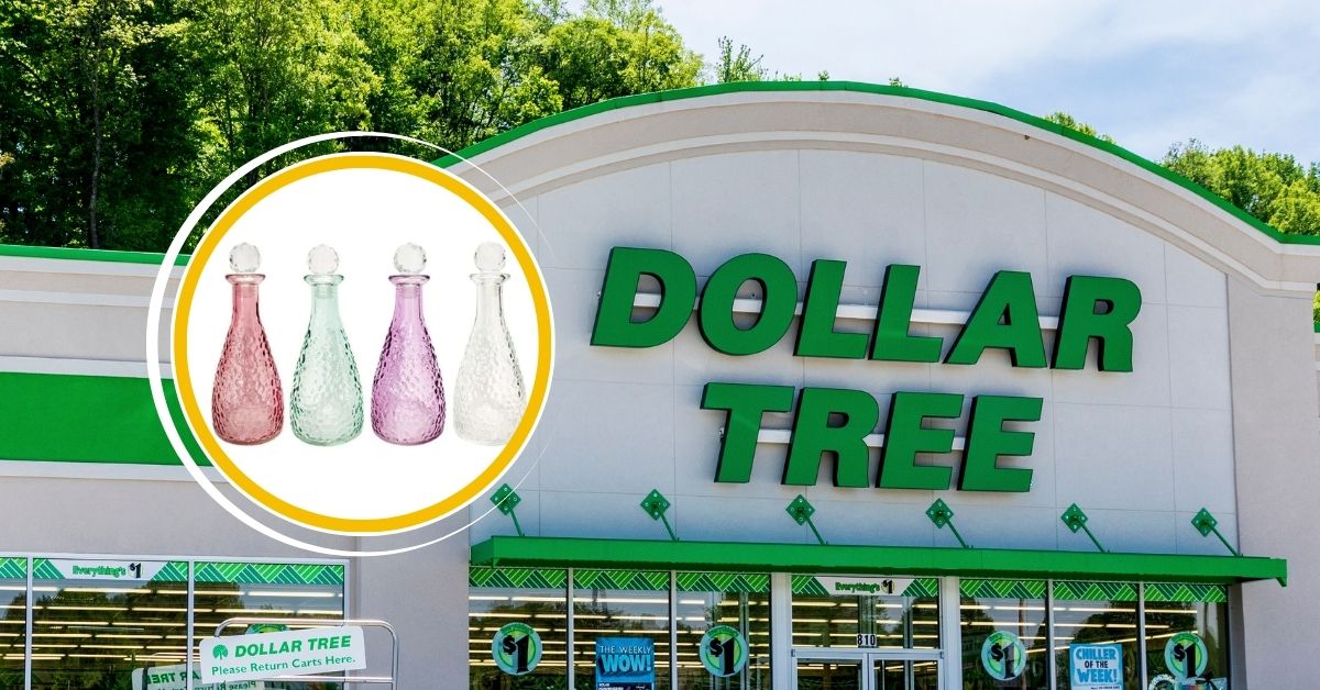 12 New June Arrivals at Dollar Tree That Are Likely To Sell Out