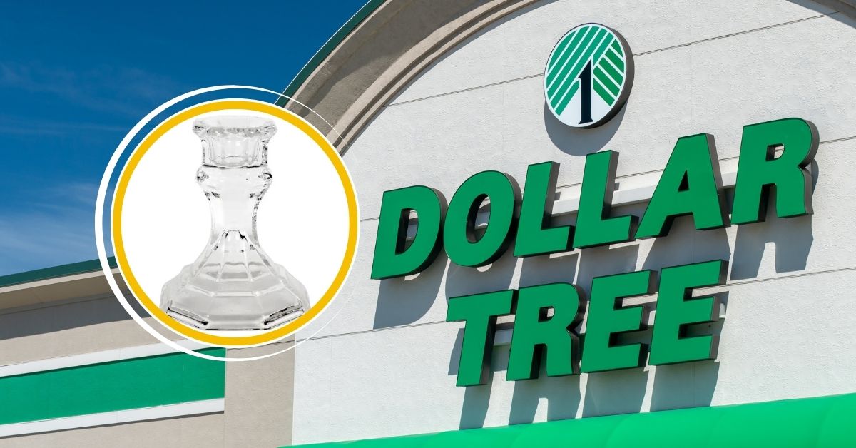 10 Dollar Tree Finds That Look Way More Expensive Than They Are