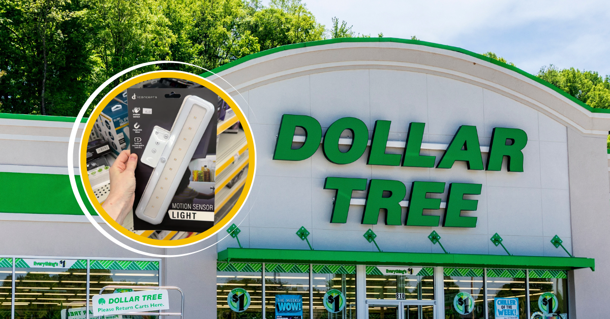 11 Random Dollar Tree Finds Over $1.25 This August That Are Worth It (And What t...