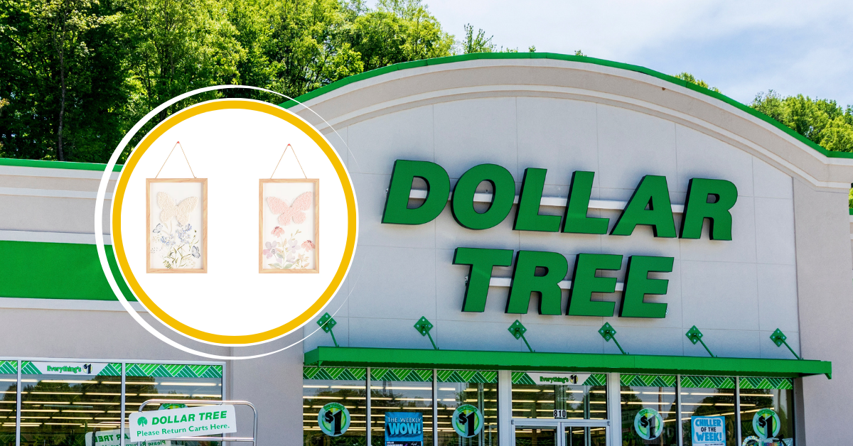 10 New August Dollar Tree Home Items Worth Combing the Aisles For