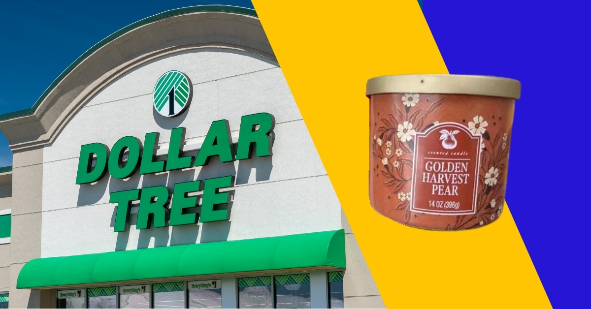 10 Dollar Tree Dupes of Crate & Barrel Items That You Can Get on a $25 Budget