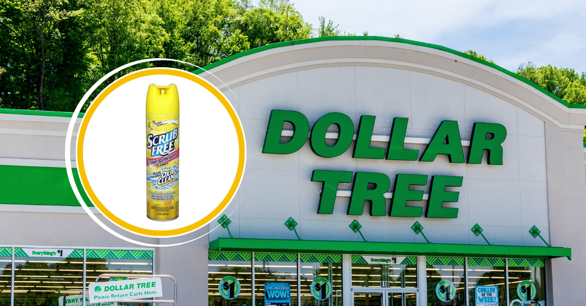 9 Affordable Dollar Tree Cleaning Supplies to Tackle Family Messes Under $5
