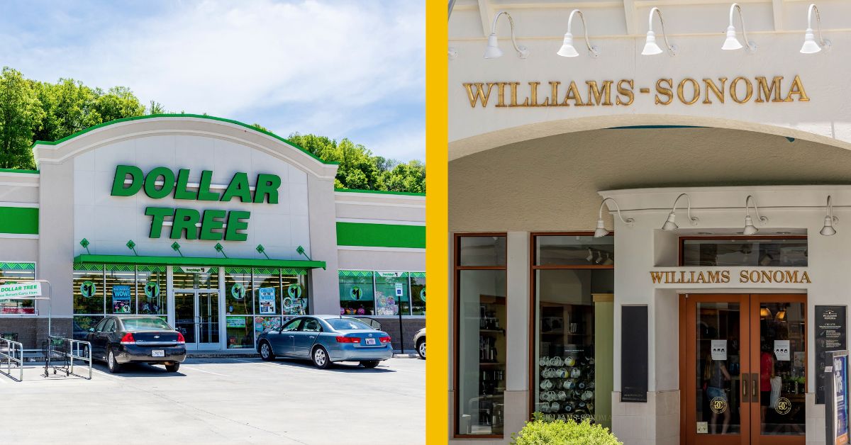 5 Dollar Tree Kitchen Tools That Are Better Than Williams Sonoma