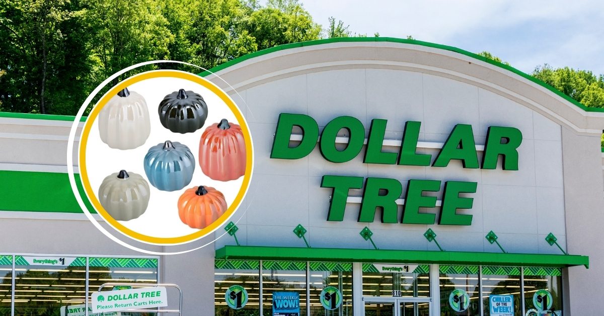 12 Dollar Tree Items Retirees Should Buy Before the End of October